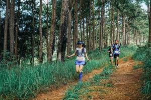 BIB: 
                            <button type="button" onclick="openModal(25751331)" class="btn btn-primary btn-sm float-right btn-popup" data-toggle="modal" data-target=".modal-high-quality">
                        <i class="fas fa-shopping-cart"></i> Add to Cart
                    </button>
                                            <button type="button" onclick="isThisMe(25751331, true)" class="btn btn-success btn-sm float-right btn-popup btn-isme hidden" data-toggle="tooltip" data-placement="bottom" title="นี่คือรูปของคุณใช่ไหม คลิกที่นี่เพื่อเอาเข้าอัลบั้ม">
                        <i class="fas fa-plus"></i> Add to album
                    </button>
                    <button type="button" onclick="isThisMe(25751331, false)" class="btn btn-warning btn-sm float-right btn-popup btn-isnotme hidden">
                        <i class="fas fa-ban"></i> Remove from album
                    </button>